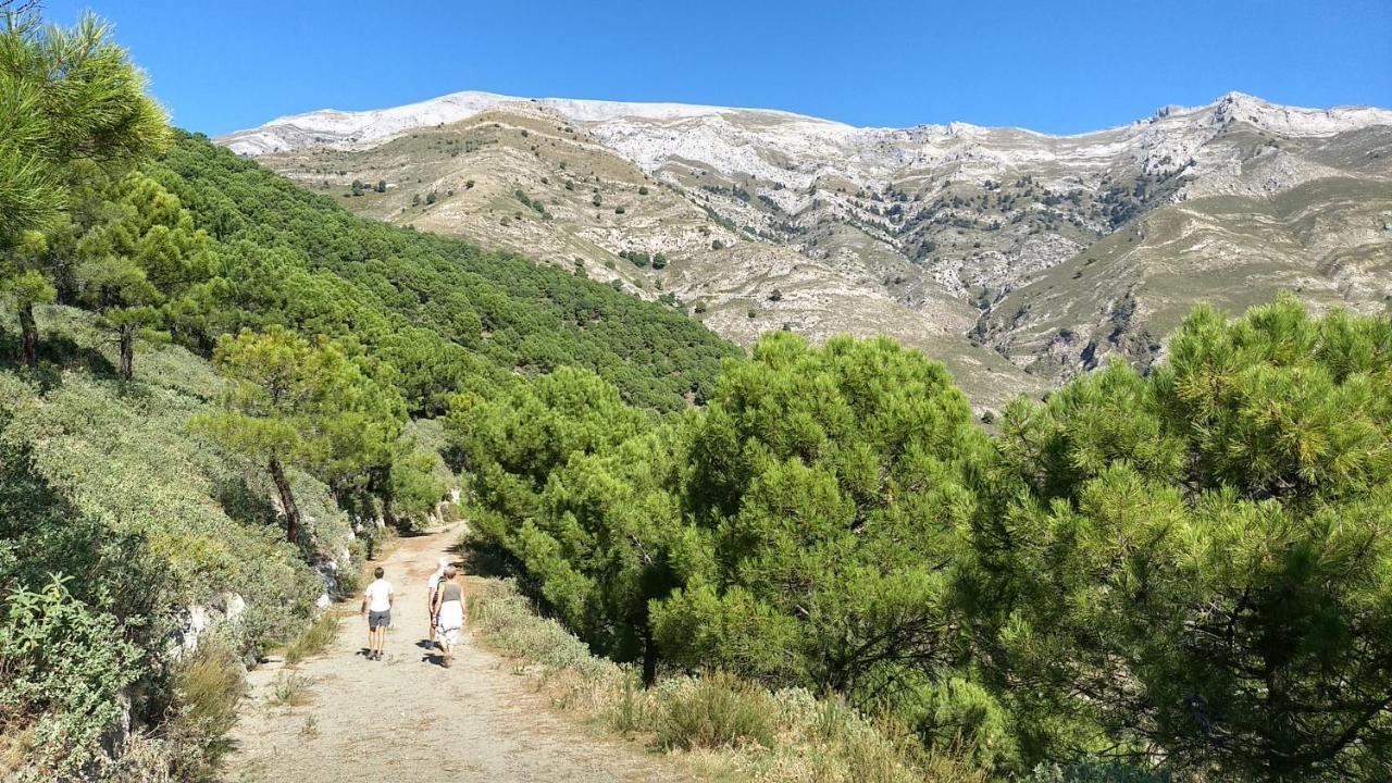 Villa Casa Trigo Cómpeta Esterno foto